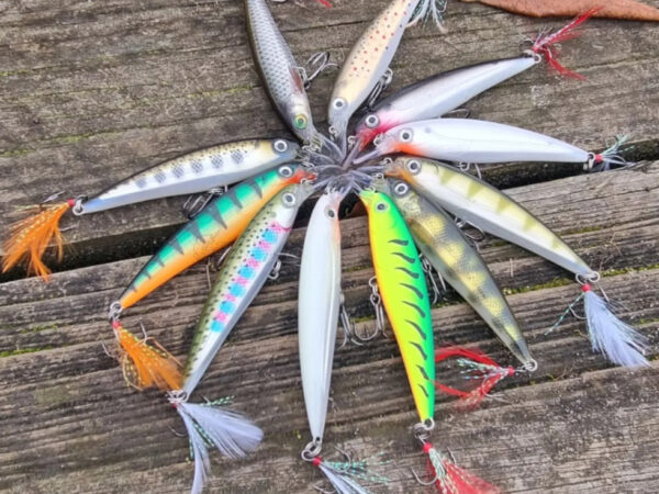 Mestre na arte das iscas: segredos para atrair mais peixes