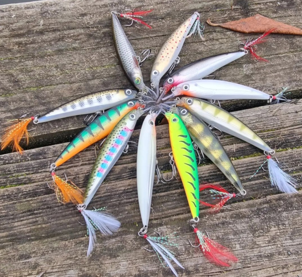 Mestre na arte das iscas: segredos para atrair mais peixes