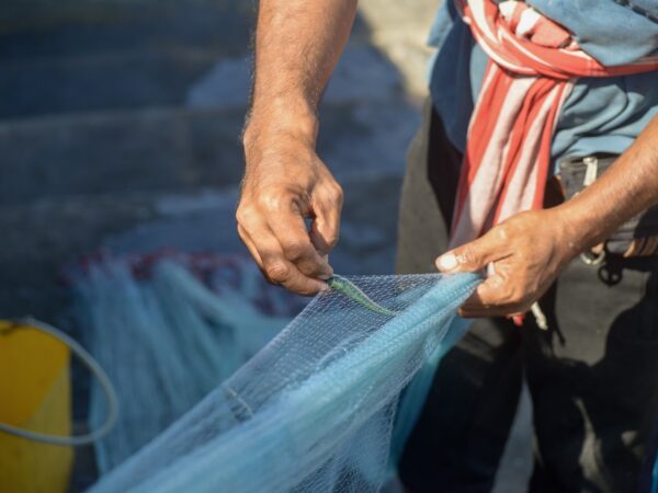 A importância de utilizar agulhas para tecer rede de pesca